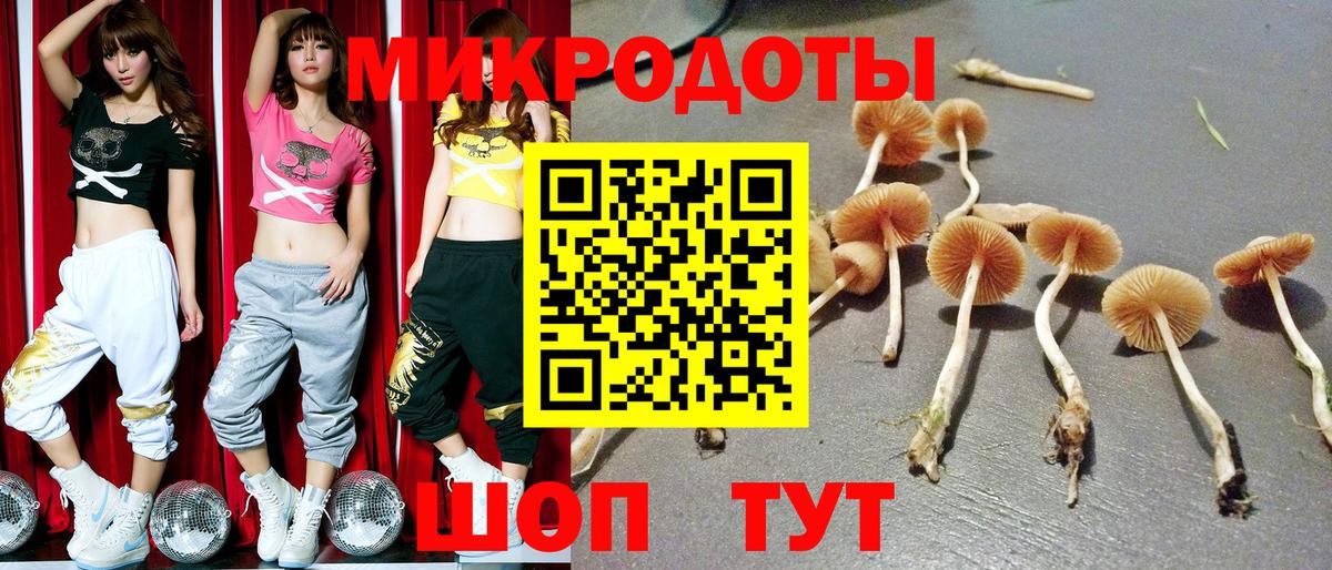 Анапа  Галлюциногенные грибы мицелий  Псилоцибиновые грибы Cubensis  Вход с VPN 